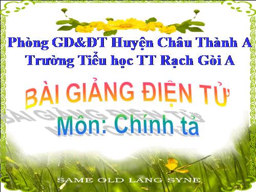 Tuần 14. Nghe-viết: Người liên lạc nhỏ