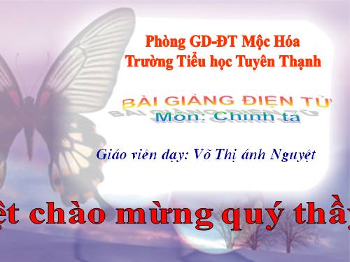 Tuần 14. Nghe-viết: Người liên lạc nhỏ