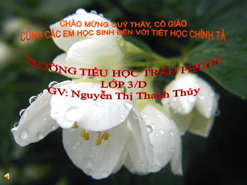 Tuần 25. Nghe-viết: Hội đua voi ở Tây Nguyên