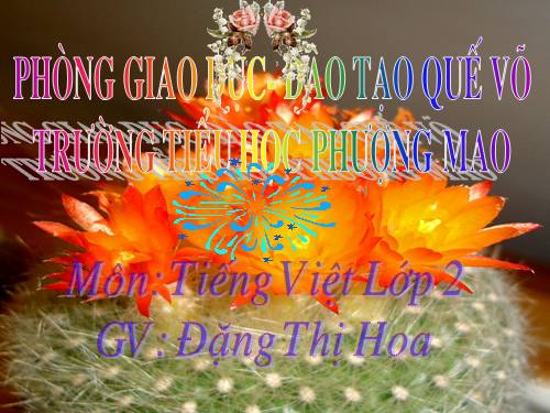 Tuần 4. Nghe-viết: Người mẹ