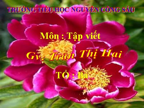 Tuần 32. Ôn chữ hoa: X