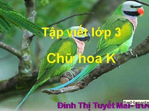 Tuần 14. Ôn chữ hoa: K