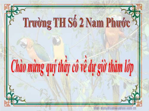 Bài 24. Đề tài tự do