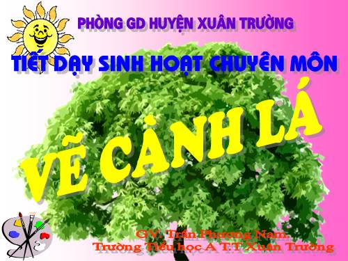 Bài 11. Vẽ cành lá