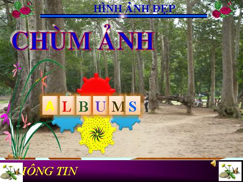 hinh nen tinh tra vinh rs