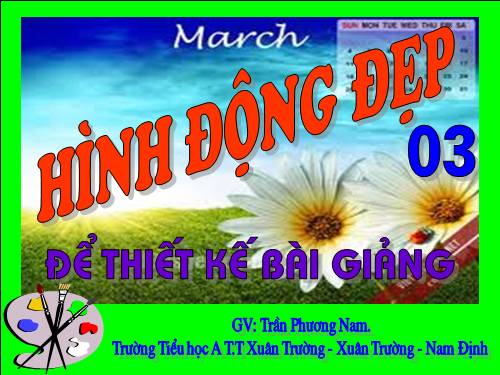 Hình nền động PP 03
