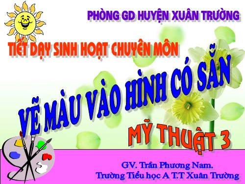 Bài 28. Vẽ màu vào hình có sẵn