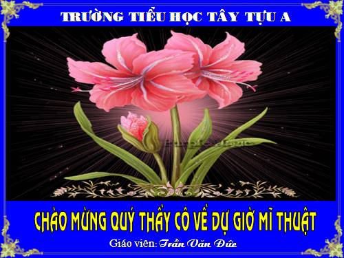 Bài 8. Vẽ chân dung