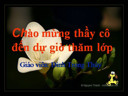 Bài 14. Vẽ con vật nuôi quen thuộc