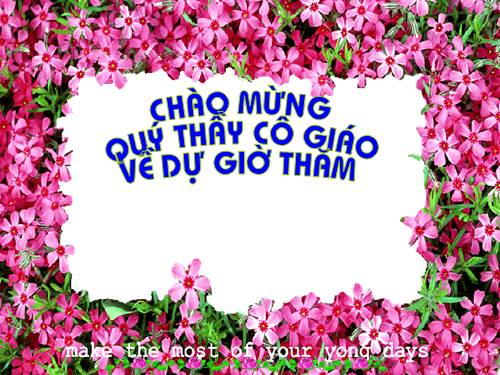 Bài 28. Vẽ màu vào hình có sẵn