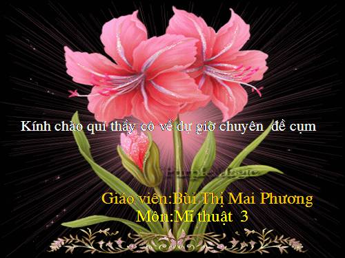 Bài 11. Vẽ cành lá