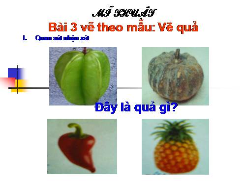Bài 3. Vẽ quả