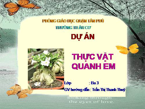 thuc vat quanh em