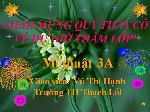Bài 24. Đề tài tự do
