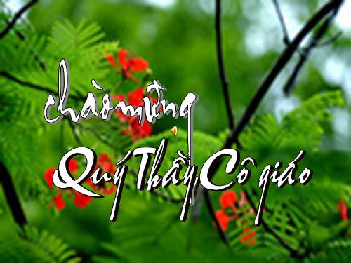 Bài 30. Cái ấm pha trà