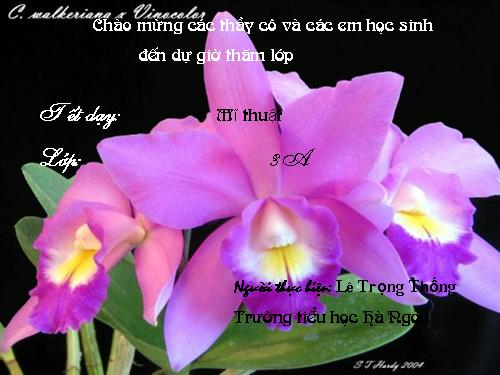 Bài 25. Vẽ tiếp hoạ tiết và vẽ màu vào hình chữ nhật