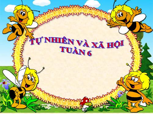 Bài 6. Tiêu hoá thức ăn