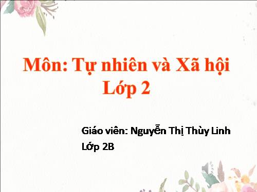 Bài 3. Hệ cơ