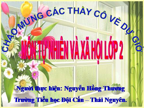 Bài 7. Ăn, uống đầy đủ