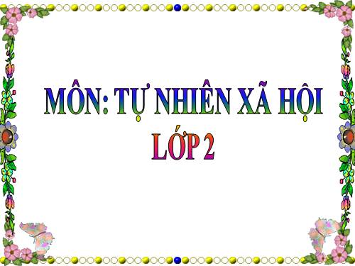 Bài 3. Hệ cơ