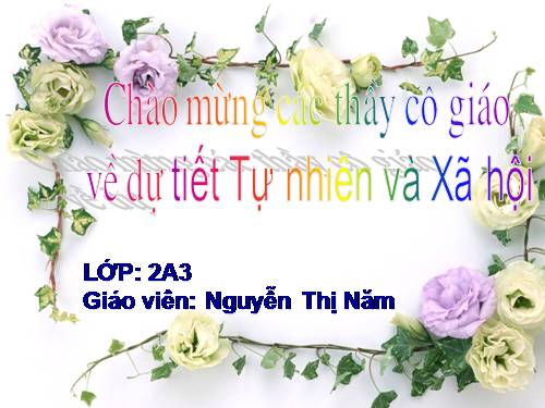 Bài 28. Một số loài vật sống trên cạn