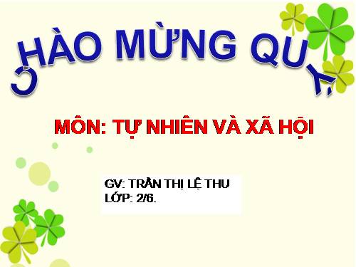Bài 21. Cuộc sống xung quanh