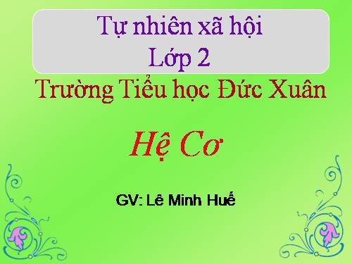 Bài 3. Hệ cơ