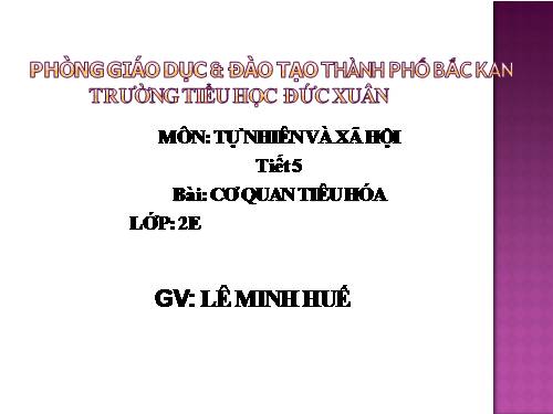 Bài 5. Cơ quan tiêu hoá