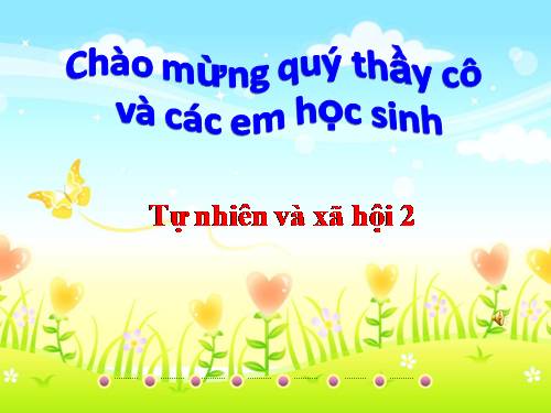 Bài 29. Một số loài vật sống dưới nước