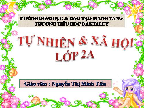 tự nhiên & xã họi, bài 30: nhận biết cây cối và con vật