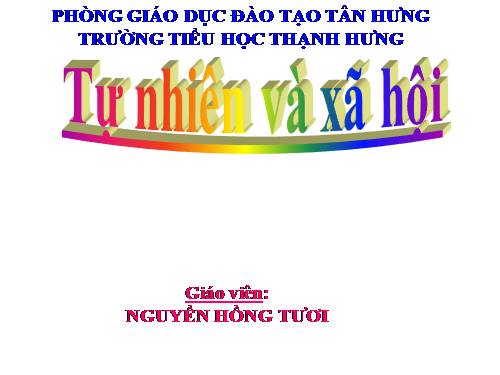 Bài 29. Một số loài vật sống dưới nước