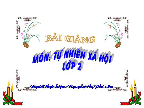 Bài 27. Loài vật sống ở đâu?