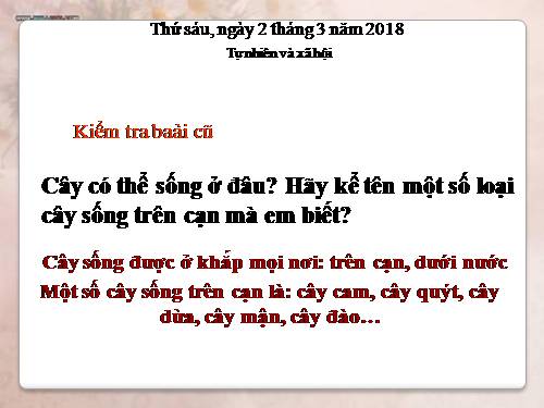 Bài 25. Một số loài cây sống trên cạn