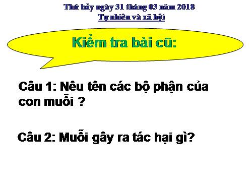 Bài 30. Nhận biết cây cối và các con vật