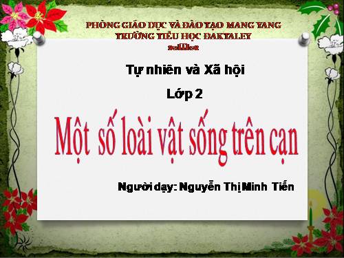 Bài 28. Một số loài vật sống trên cạn