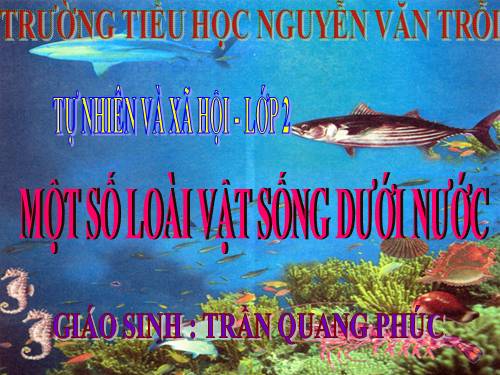 Bài 26. Một số loài cây sống dưới nước