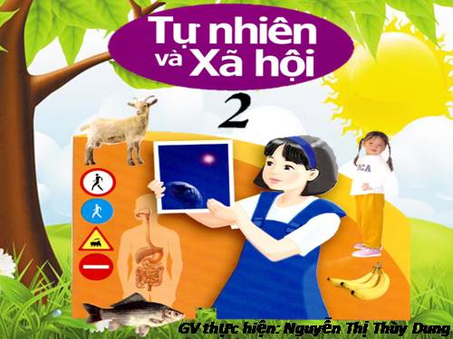 Bài 25. Một số loài cây sống trên cạn