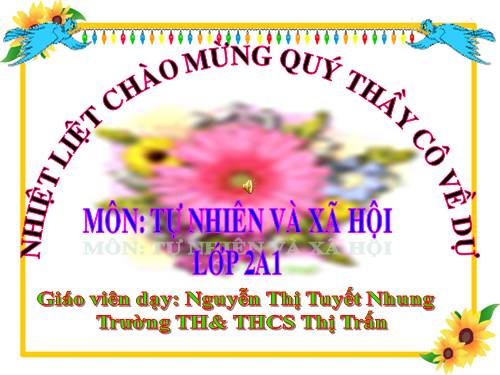Bài 11. Gia đình