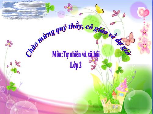 Bài 28. Một số loài vật sống trên cạn