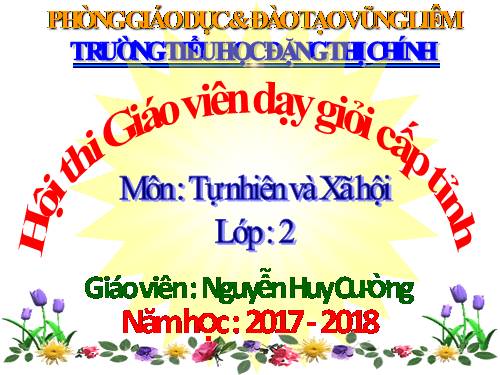 Bài 25. Một số loài cây sống trên cạn