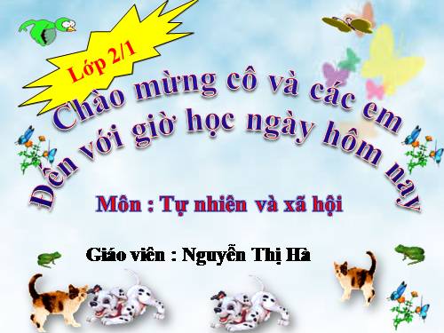 Bài 27. Loài vật sống ở đâu?