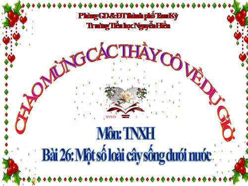 Bài 26. Một số loài cây sống dưới nước