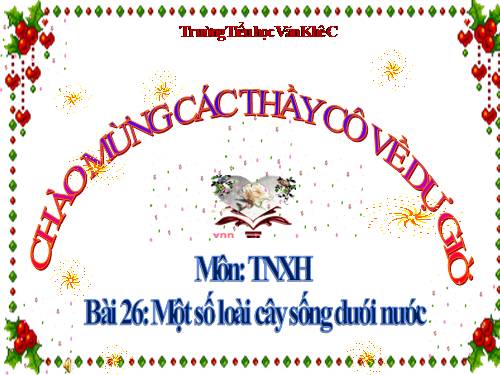 Bài 26. Một số loài cây sống dưới nước