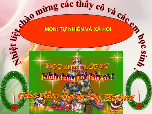 Bài 9. Đề phòng bệnh giun
