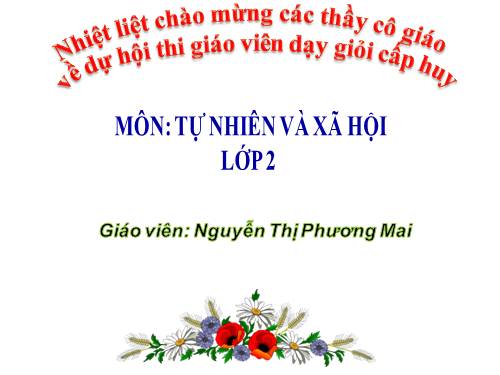 Bài 19. Đường giao thông