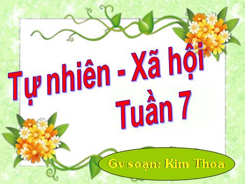 Bài 7. Ăn, uống đầy đủ