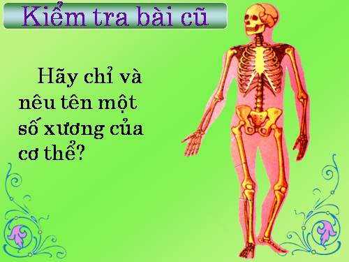 Bài 3. Hệ cơ