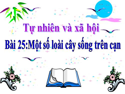 Bài 25. Một số loài cây sống trên cạn