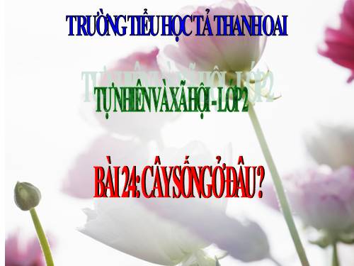 Bài 24. Cây sống ở đâu?
