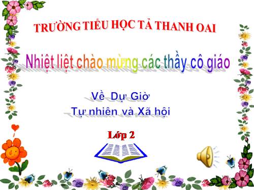 Bài 19. Đường giao thông